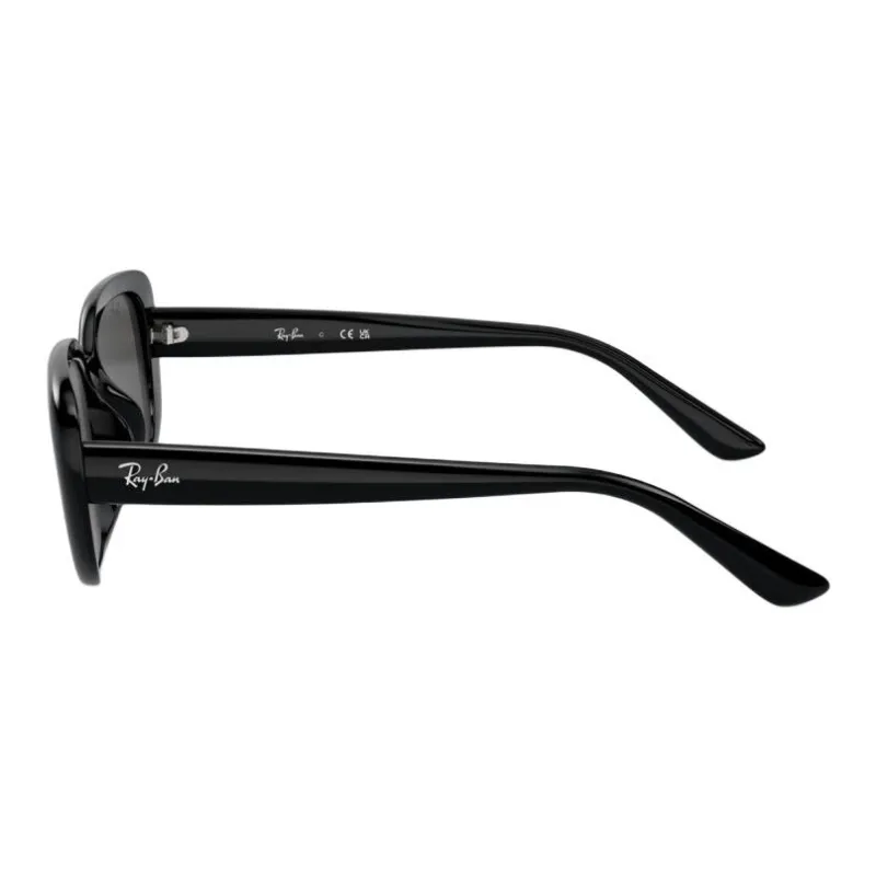 RayBan Sunglasses-5