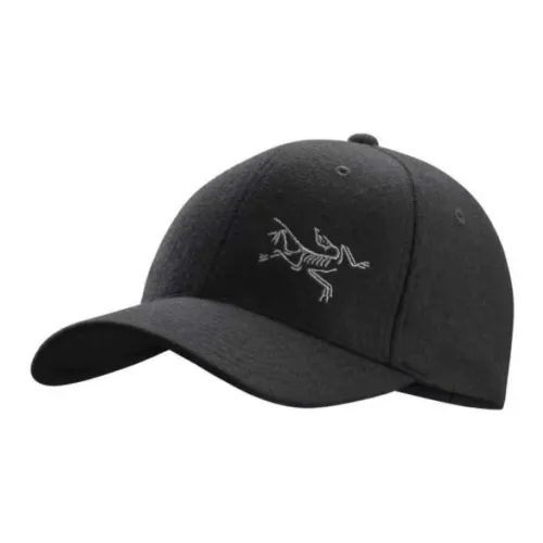 Arcteryx Baseball Caps Men