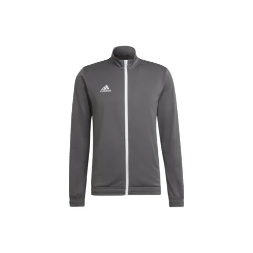 Adidas Entrada 22 Soccer Jerseys Unisex Gray