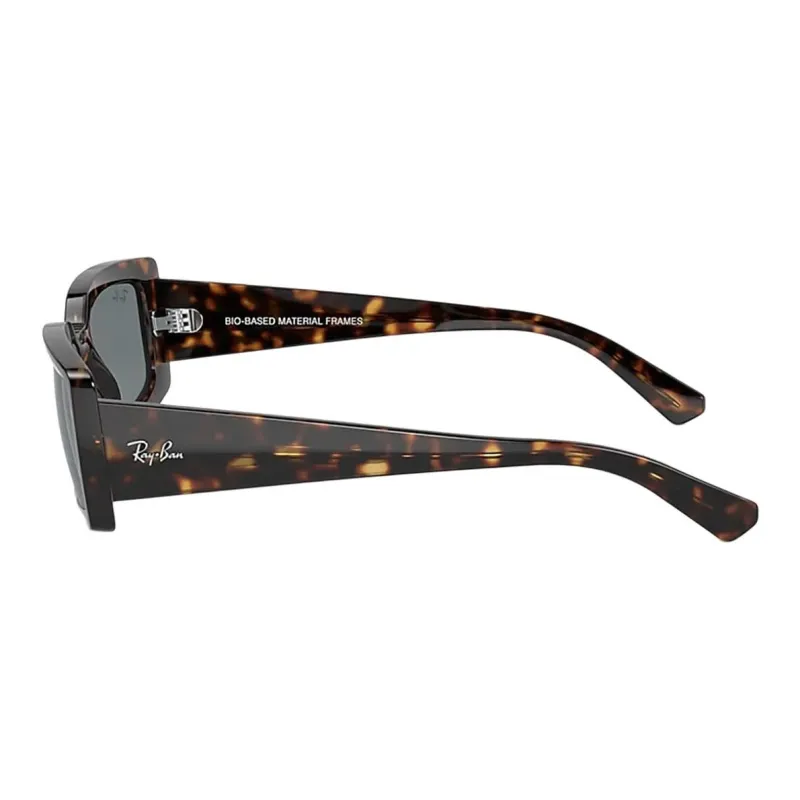 RayBan Kiliane Sunglasses-2