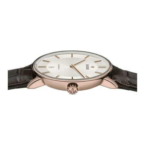 RADO Automatic Mechanical Movement Men's Watches Watch 41mm Silver Dial Ceramic Watch Case Leather Watch Bands-2