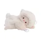 Lamb Bag (Tubas)