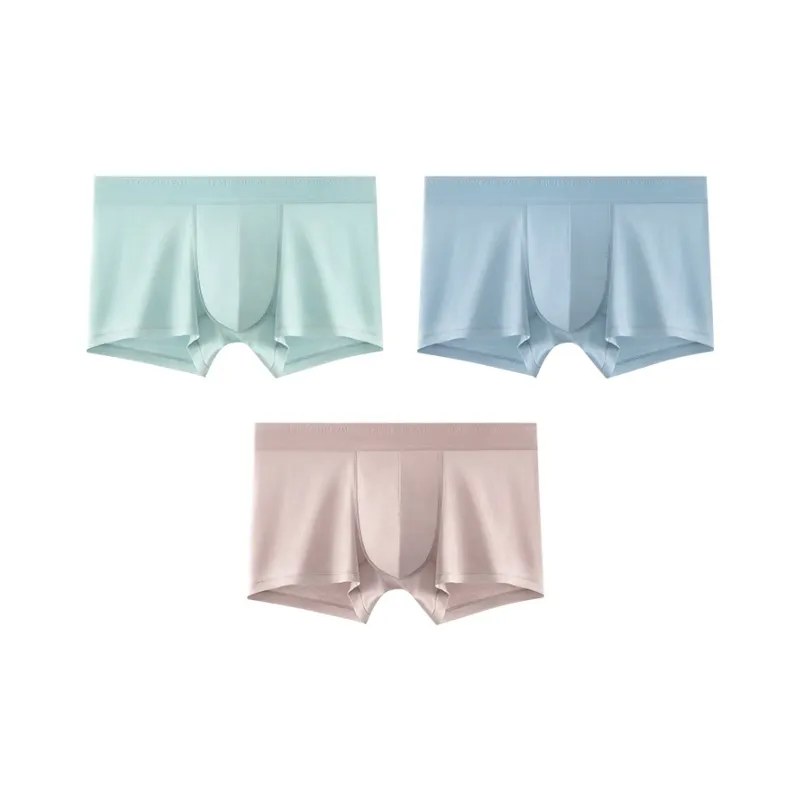 B&C.Room Underpants Spring/summer Models Men's 3 Pack-10