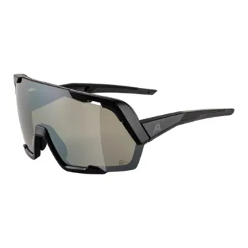 ALPINA - Irregular Shape Sunglasses Unisex Black