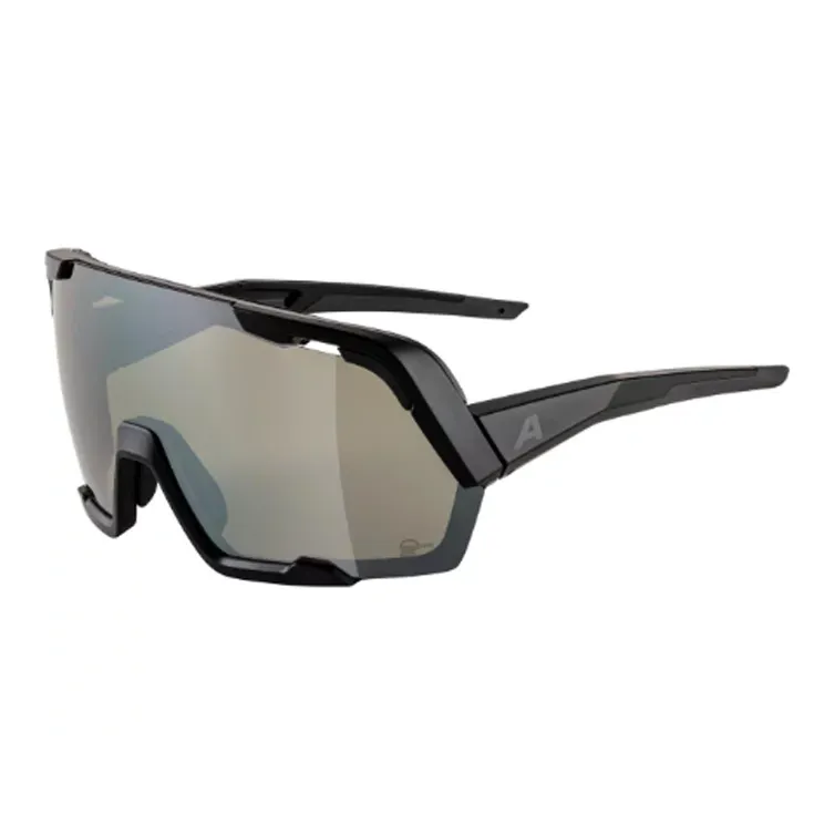 ALPINA - Irregular Shape Sunglasses Unisex Black-0