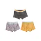 Dark Gray+Light Gray+Bright Yellow