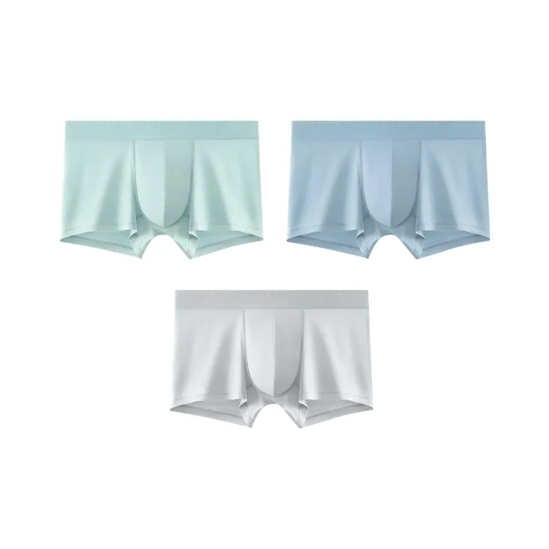 B&C.Room Underpants Spring/summer Models Men's 3 Pack-4