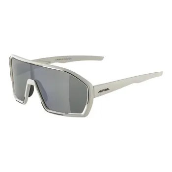 ALPINA Plastic Irregular Shape Sunglasses Unisex Cool Gray Matte
