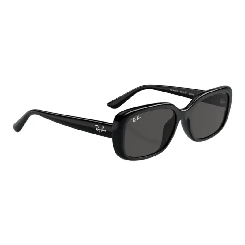 RayBan Sunglasses-1