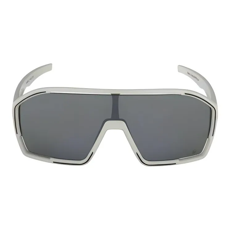ALPINA Plastic Irregular Shape Sunglasses Unisex Cool Gray Matte-1