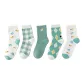 5 Pack (Green Plaid)