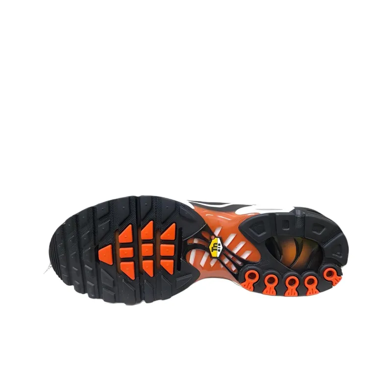 Nike Air Max Plus Sunset 2018 GS-4