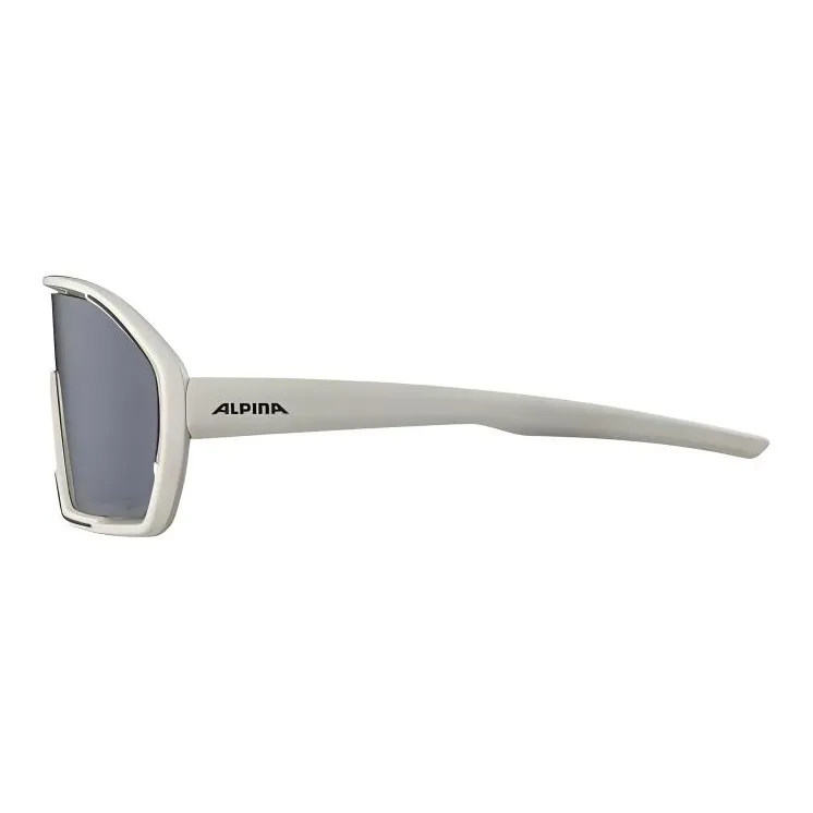 ALPINA Plastic Irregular Shape Sunglasses Unisex Cool Gray Matte-2