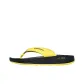 Yellow Black