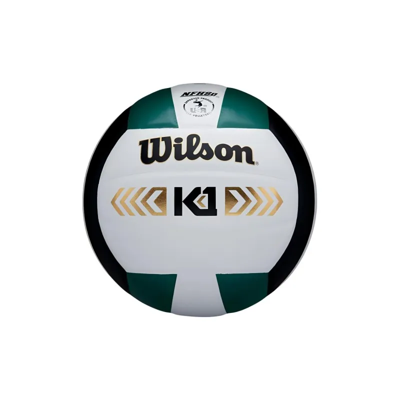 Wilson Volleyball-4