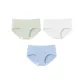 Matcha Green+Milk White+Light Blue (3 Pack)