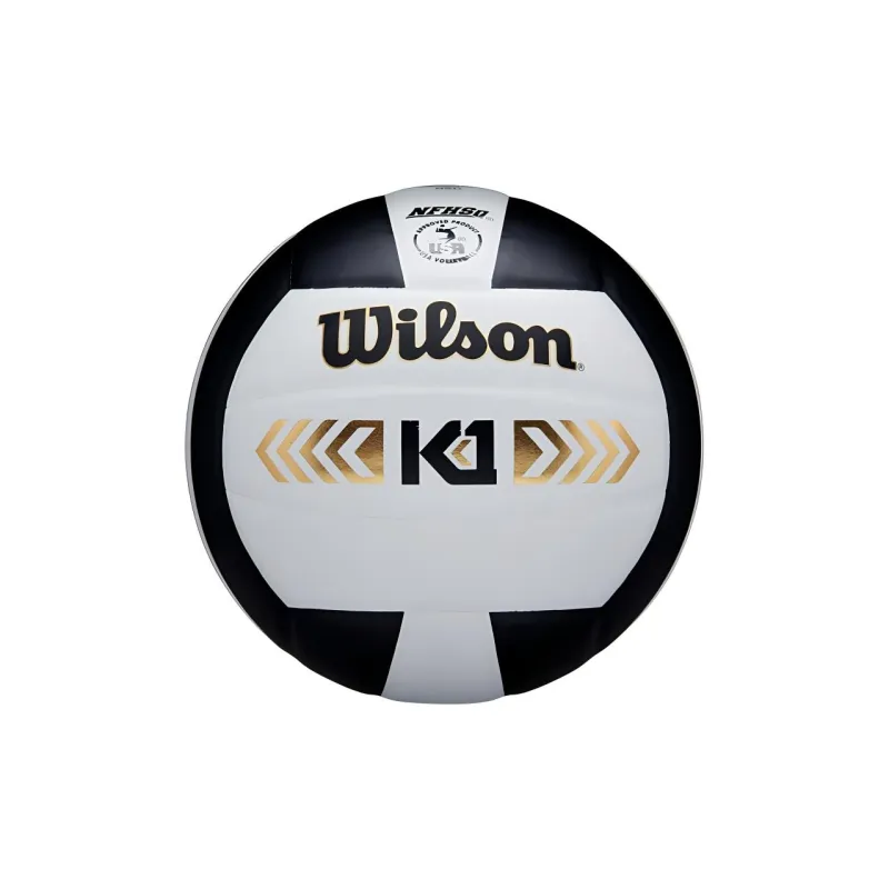 Wilson Volleyball-2