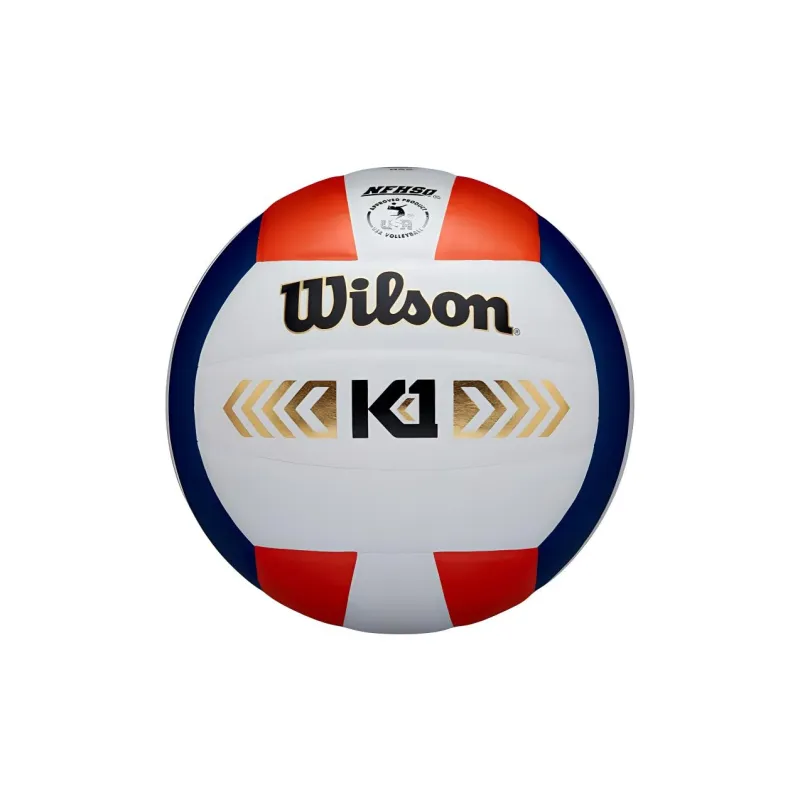 Wilson Volleyball-6