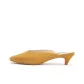 Ginger Yellow
