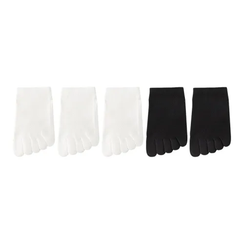 Left Divided By Right Ankle Socks Women's 5 Pack