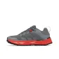 Gray Red
