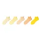 5 Pack (Yellow Shades-Custard+Light Yellow+Light Khaki+Orange+Bright Yellow)