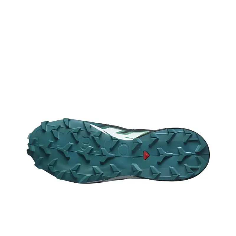 SALOMON Speedcross 6 GORE TEX 'Carbon Tahitian Tide'-5