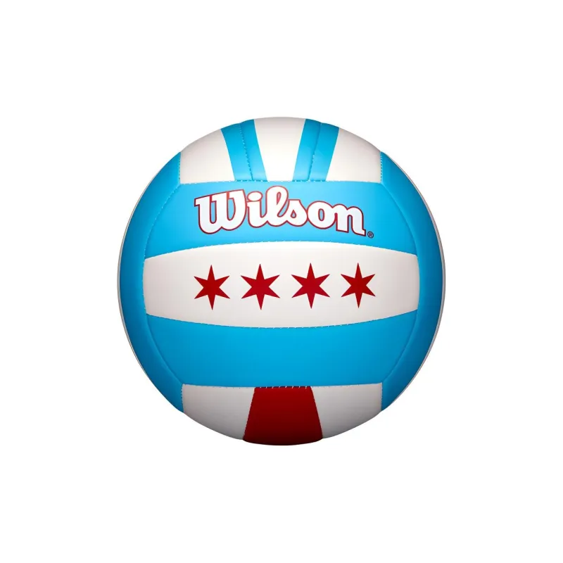Wilson Volleyball-0
