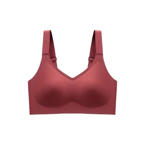 Lanza Women's Bras