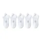 5-Pack (White Gray)