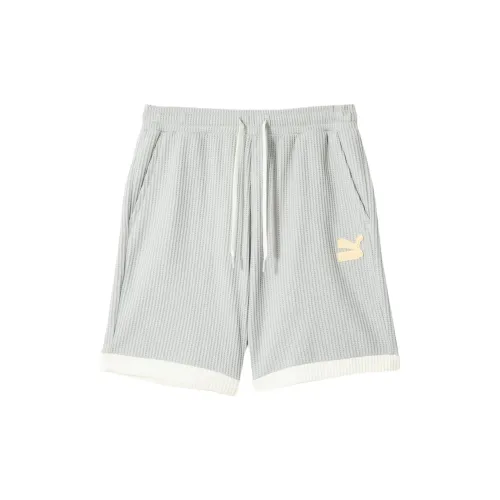 PUMA Casual Shorts Unisex Light Gray