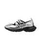 Silver Gray