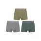 3 Pack (Gray+Ginger Yellow+Green)