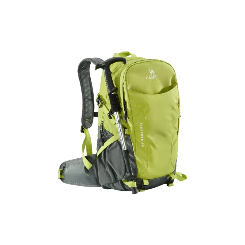CAMEL Polyester Backpack Regular Unisex Fruit Green/Premium Gray-2