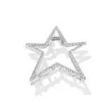 Silver Five-Pointed Star