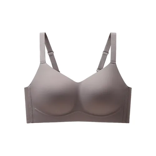 Lanza Women's Bras
