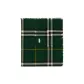 Dark Fern Green