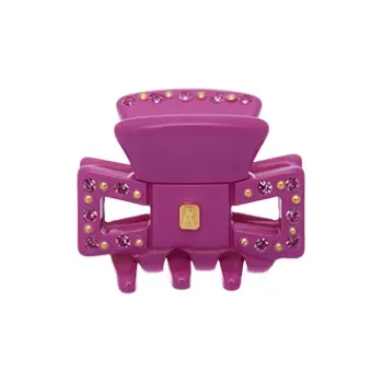 ALEXANDRE DE PARIS Mont Saint Michel Collection Small Size Claw Clip Women's