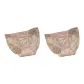 2 Pack[Cameo Brown+Cameo Brown]