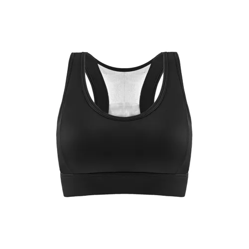 Lanza Women's Bras