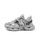 Silver (Regular)
