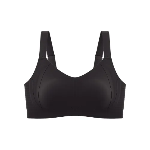 Lanza Women's Bras