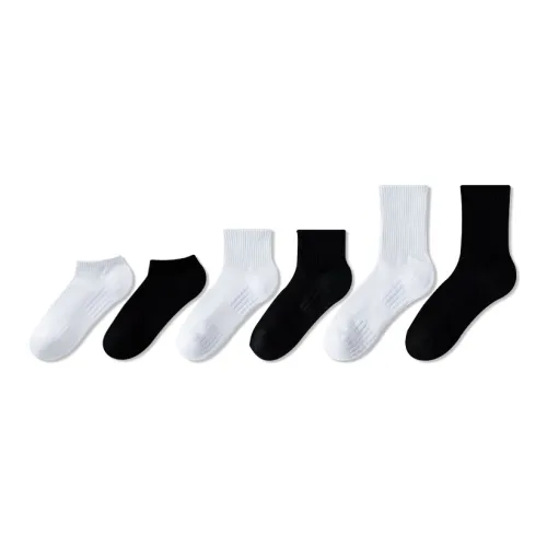 COTTON CHEESE Men Mid-Calf Socks