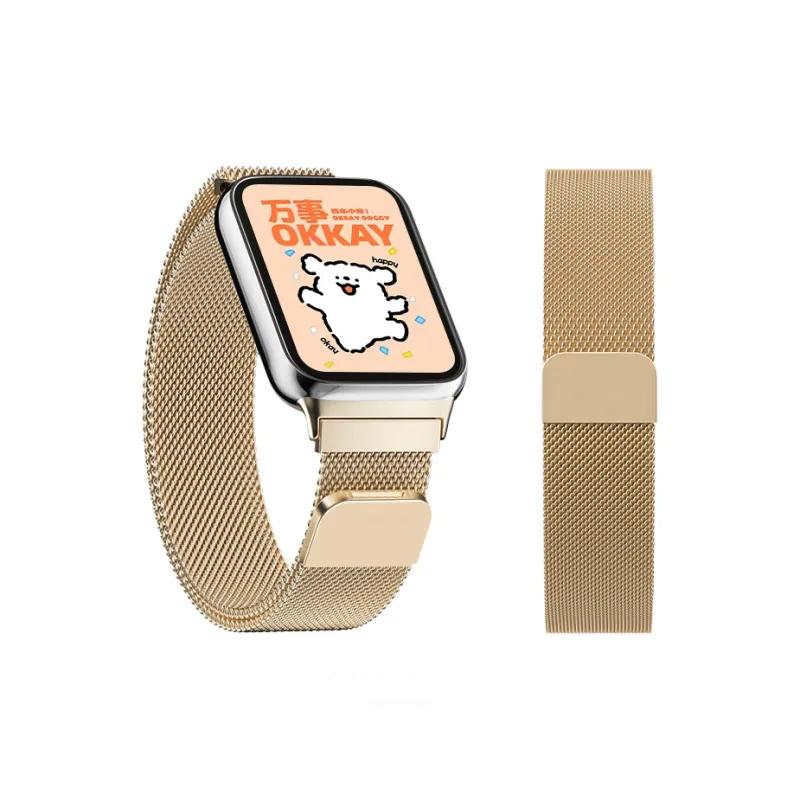 FZRT Xiaomi Compatibility Watch Band Metal-1