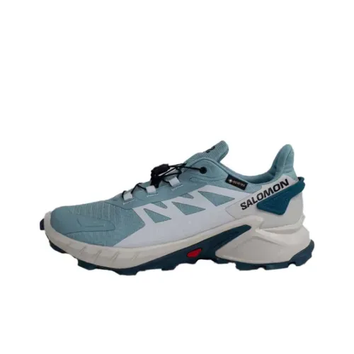 SALOMON Hiking / Trekking Shoes Women's Low-Top Blue/Gray