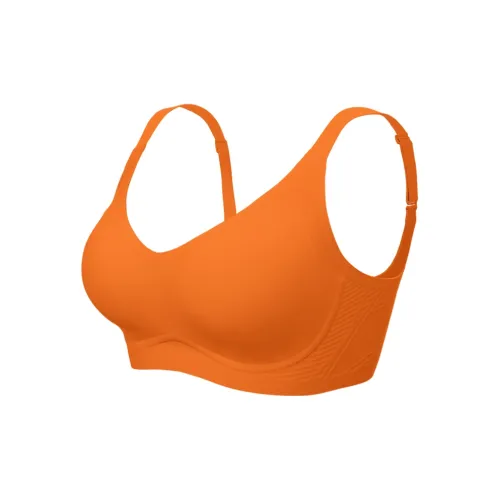 Concealed Women's Bras