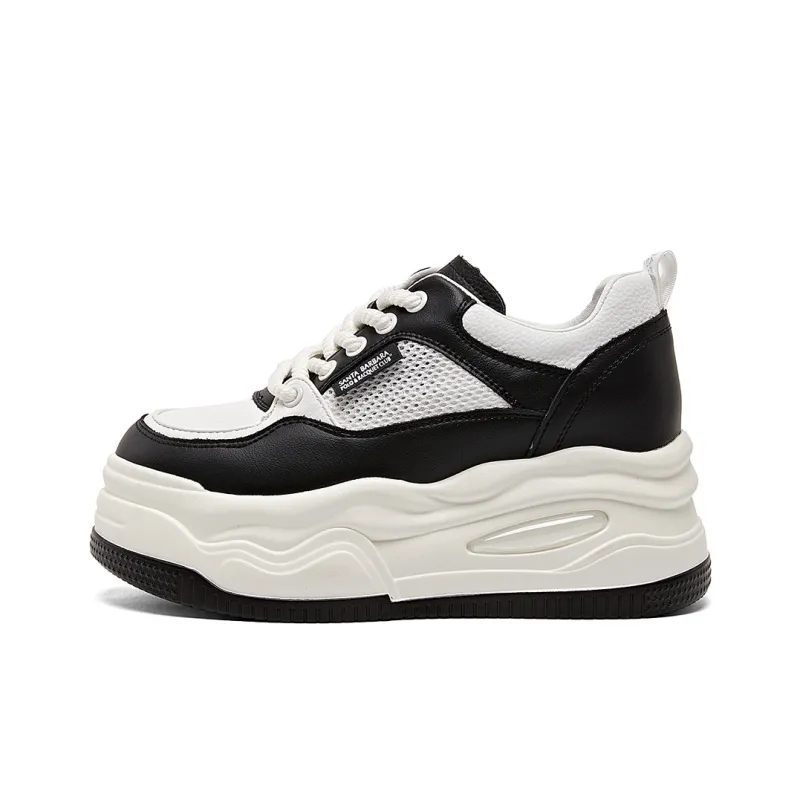 SANTA BARBARA POLO & RACQUET CLUB Skateboard Shoes Cushioning Wear-Resistant Low-Top Casual Shoes Women's-1