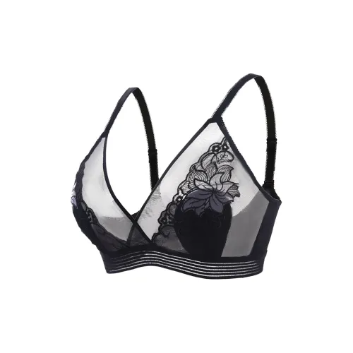 Lanza Women's Bras