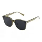 C20 Polarized-Transparent Tea Brown