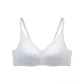 030 Blue Gray